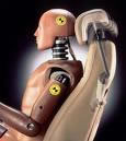 show me / tell me Questions - checking head restraints